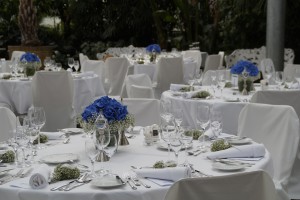 wedding-785355_960_720